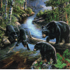 Bears Playing (50 x 50 actual picture size)