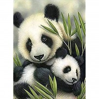 Baby Panda (50 x 68 actua...