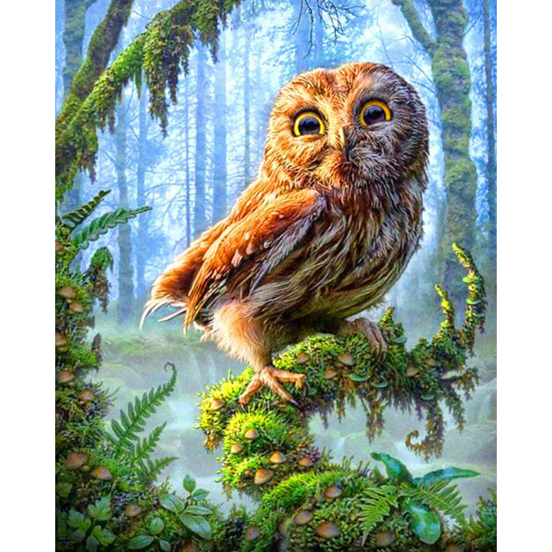 Baby Owl (40 x 50 ac...