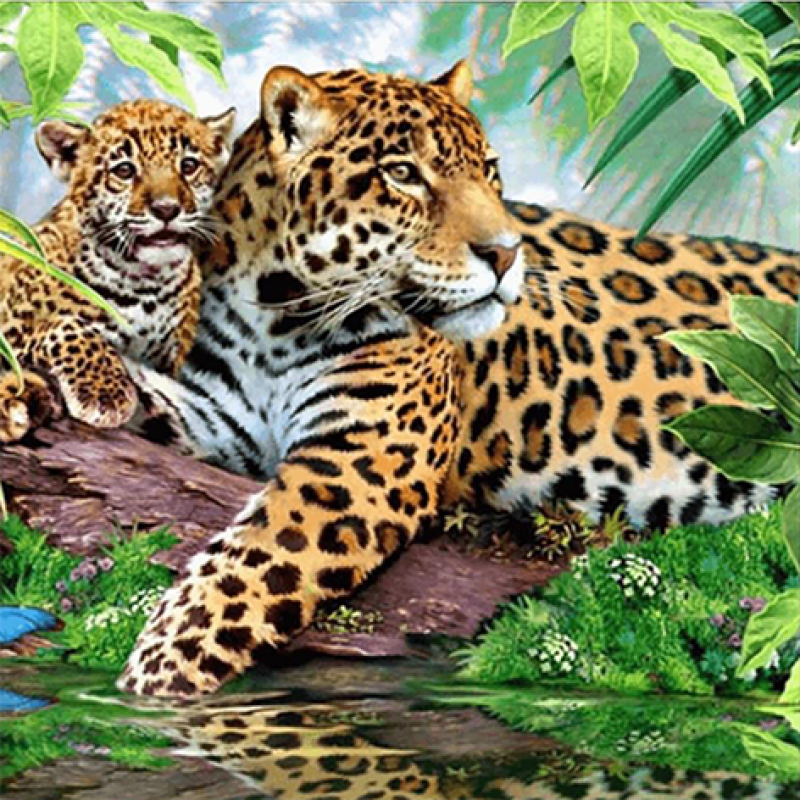 Baby Leopard (50 x 5...
