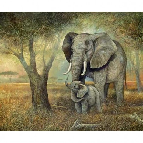 Baby Elephant 55 x 46 picture size