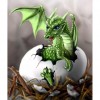 Baby Dragon 40 x 47 picture size