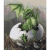 Baby Dragon 40 x 47 picture size