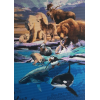 Animal Gathering (50 x 70 actual picture size)