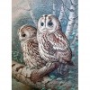 2 Owls 48 x 62 picture size