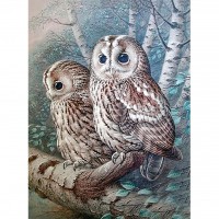 2 Owls 48 x 62 picture si...
