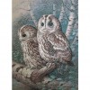 2 Owls 48 x 62 picture size