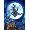 Witches Castle (50 x 70 actual picture size)