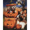 Playing with pumpkins (40 x 50 actual picture size)