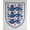 England (40 x 50)