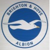 Brighton & Hove Albion (50 x 50)
