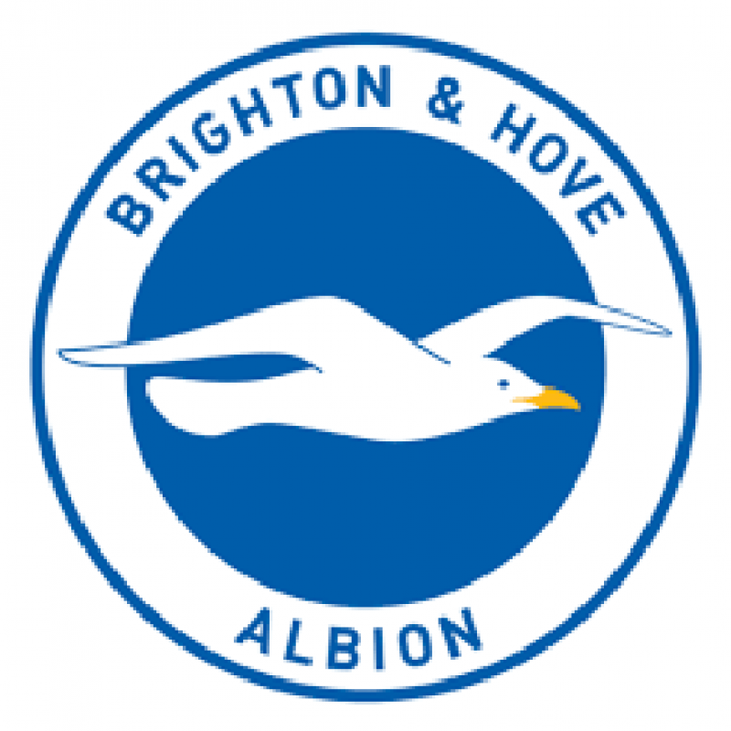 Brighton & Hove Albi...