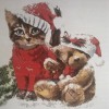 Christmas Kitty (50 x 50)