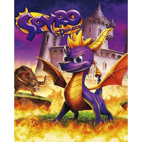 Spyro The Dragon (40 x 50)