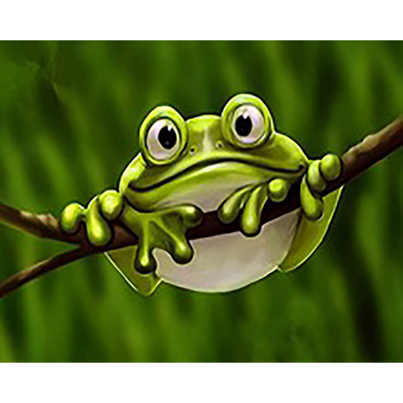 Freddie The Frog (40...