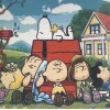 Charlie Brown (50 x 50)