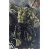 Hulk (50 x 80)