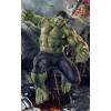 Hulk (50 x 80)